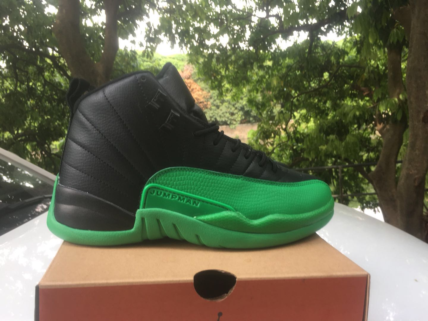 New Air Jordan 12 Retro Black Green